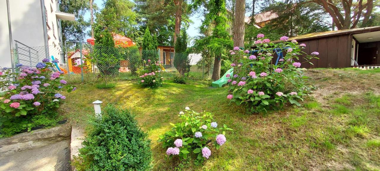 Villa Azalia Jastrzębia Góra Buitenkant foto